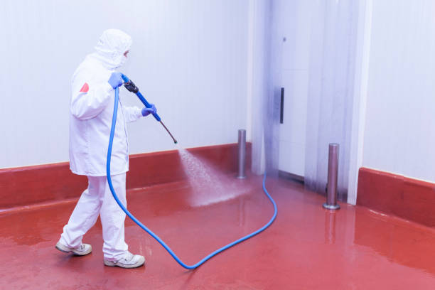 Best Soft Washing  in Graymoor Devondale, KY